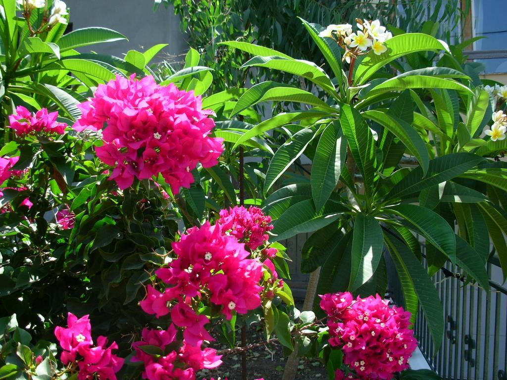 Callista Sea View Or Garden Kissamos Room photo